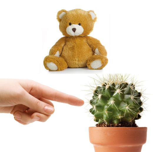 設(shè)計中的同型論