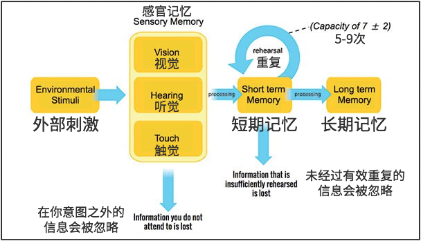 記憶的工作原理與設(shè)計訣竅