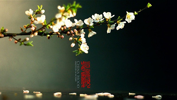 圖片配文的小技巧