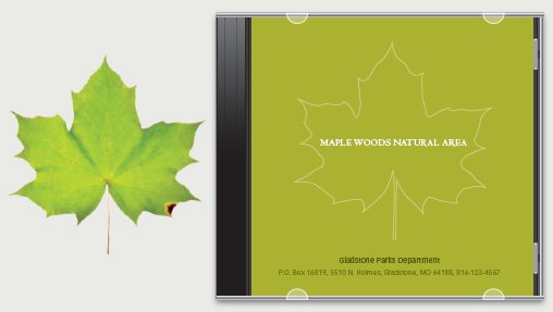 如何創(chuàng)作簡潔的“一線式”設計